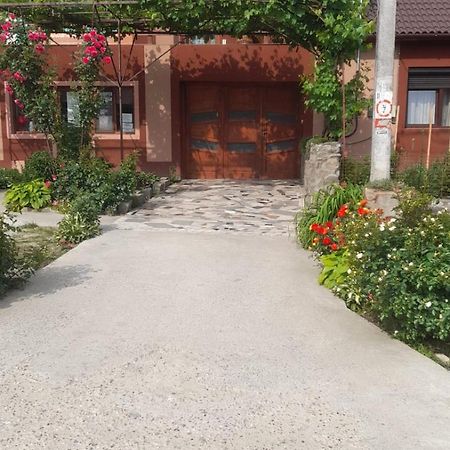 Casa Elena Eselnita Hotell Eksteriør bilde