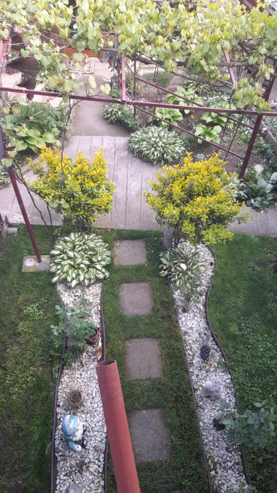 Casa Elena Eselnita Hotell Eksteriør bilde